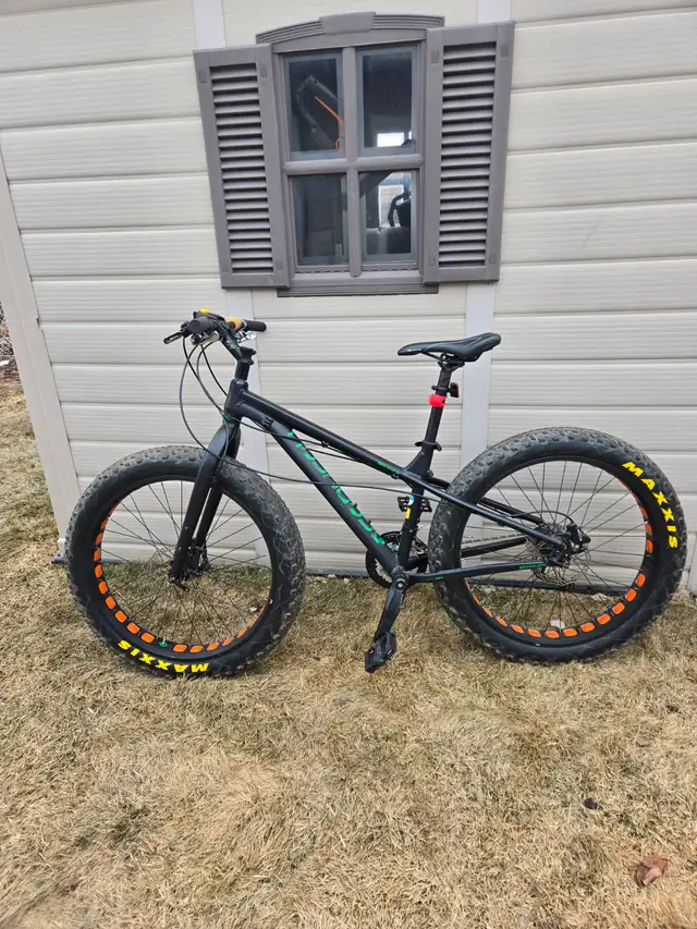 Garneau Gros Louis 4 Fat Tire Bike - Photo 4