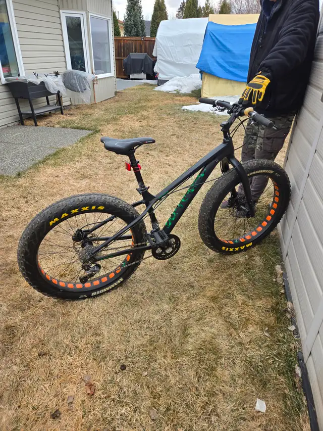 Garneau Gros Louis 4 Fat Tire Bike - Photo 2