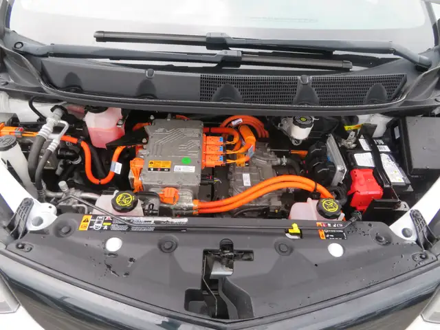2018 Chevrolet Bolt EV 5dr Wgn LT - Photo 19