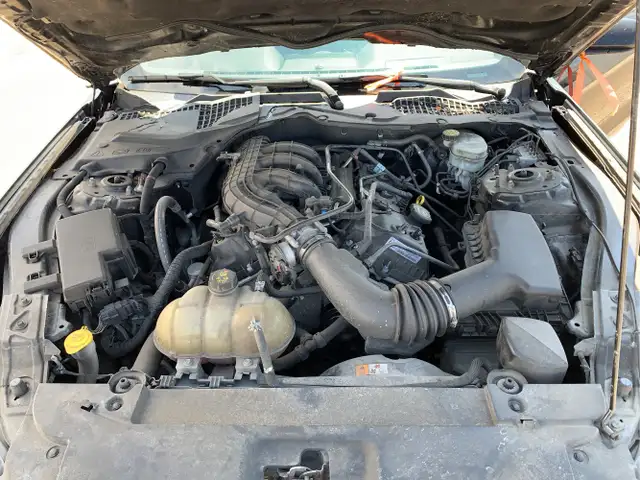 2015 Ford Mustang - Photo 9