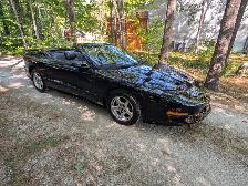 1996 Pontiac Trans Am