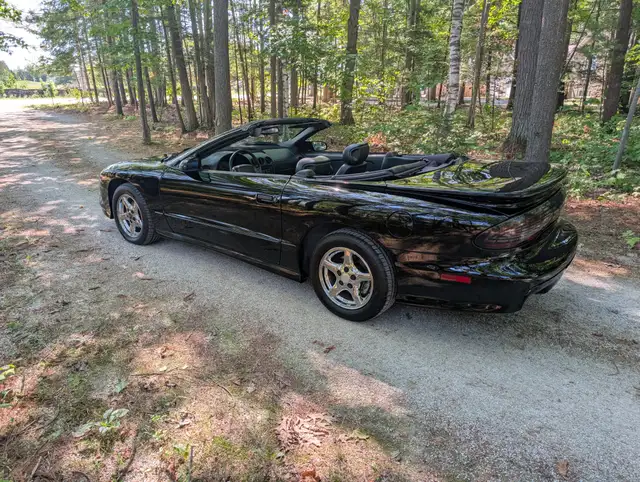 1996 Pontiac Trans Am - Photo 2