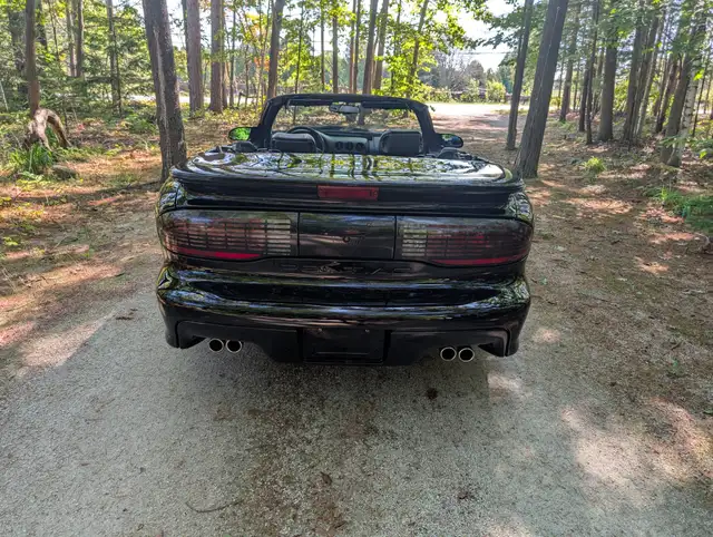 1996 Pontiac Trans Am - Photo 3