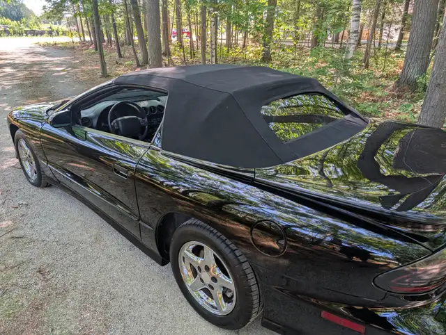 1996 Pontiac Trans Am - Photo 4