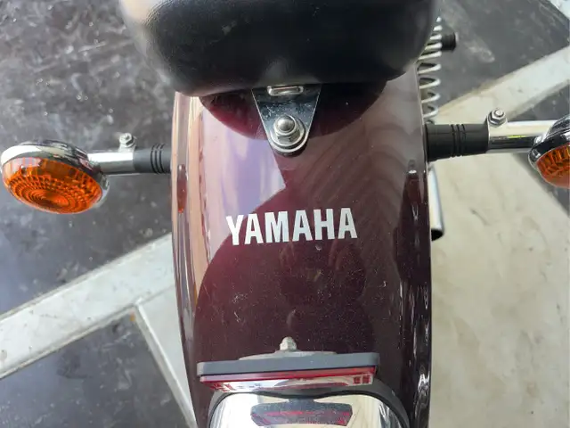2007 Yamaha Virago - Photo 13