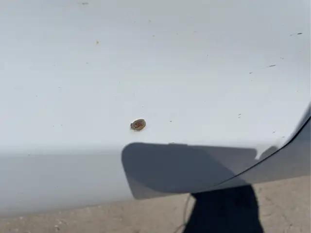 2017 Chevrolet Silverado 1500 - Photo 25