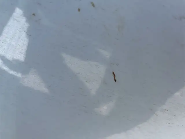 2015 Chrysler 200 - Photo 27