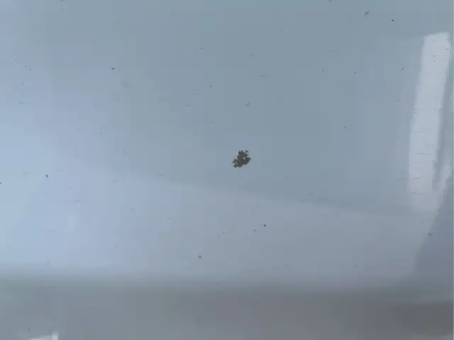 2017 Chevrolet Silverado 1500 - Photo 28