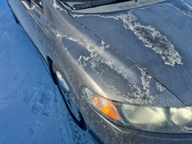 2009 Honda Civic - Photo 38