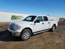 2010 Ford F-150