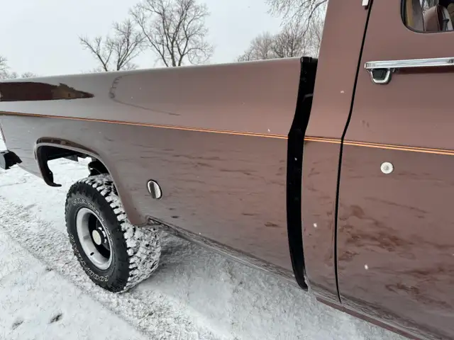 1979 GMC Sierra Grande - Photo 11