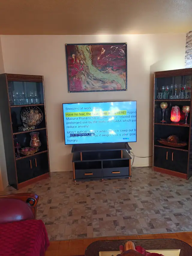 Private room -West Mall and Bloor ( ETOBICOKE ) HWY 427 - Photo 3