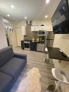 995$/mois - À Louer - Mini-Studio Moderne Completement Meublé. - Photo 3
