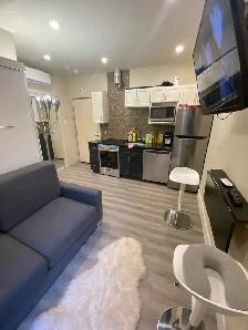 995$/mois - À Louer - Mini-Studio Moderne Completement Meublé. - Photo 7