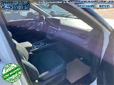 2025 Ford Explorer ST - Sunroof - Cooled Seats - Photo 13