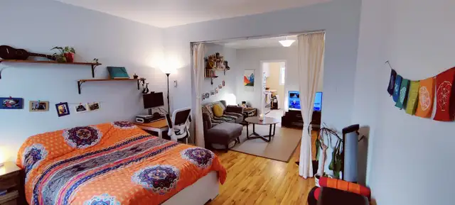 Joli 3 ½, Métro Laurier, PLATEAU MONT-ROYAL, 1er juin,1495$/mois - Photo 6