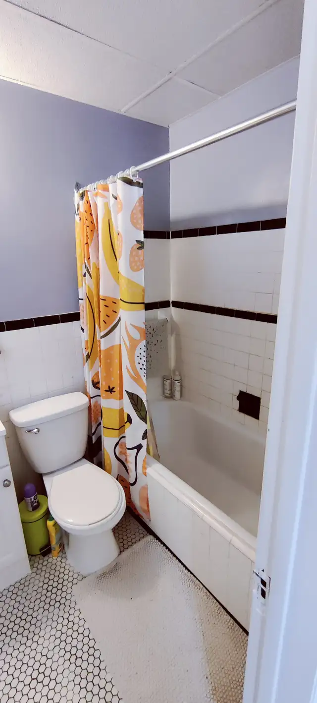 Joli 3 ½, Métro Laurier, PLATEAU MONT-ROYAL, 1er juin,1495$/mois - Photo 8