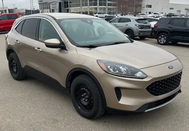 2020 Ford Escape SE AWD - Photo 7