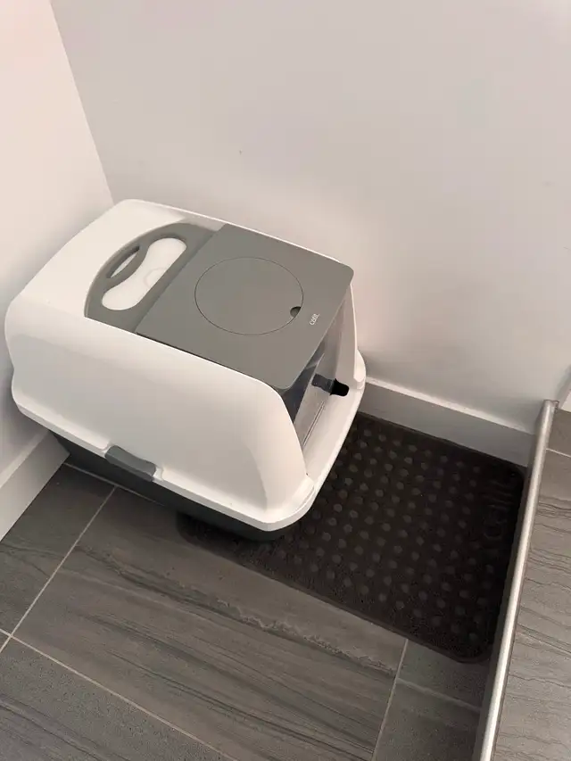 Chaton FEMELLE (7 mois) Oppéré, Vacciné, Vermifugé et Micropucé. - Photo 5