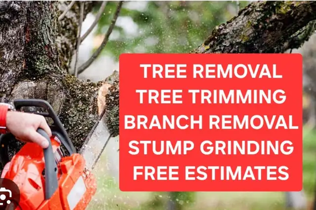Tree Removal and yardwork