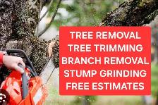 Tree Removal and yardwork