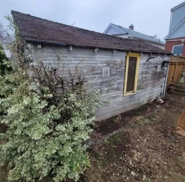 Tree Removal and yardwork - Photo 7