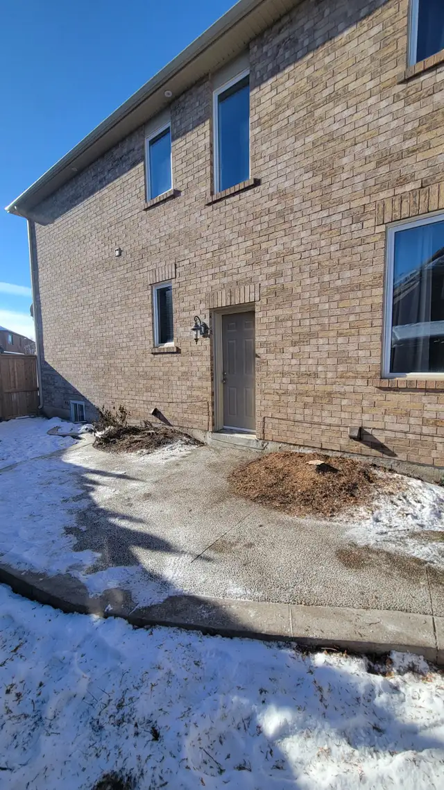 Tree Removal and yardwork - Photo 9