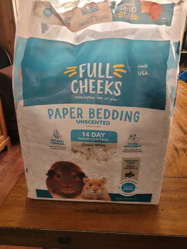 Bunny Rabbit - Photo 4