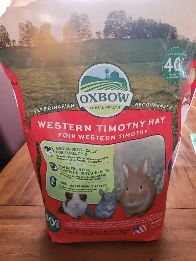 Bunny Rabbit - Photo 5