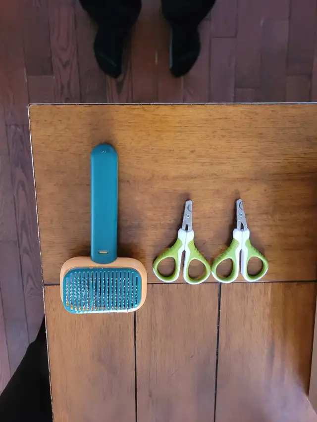 Bunny Rabbit - Photo 6