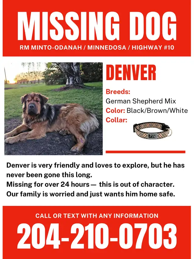 MISSING DOG – $200 REWARD – NO QUESTIONS ASKED