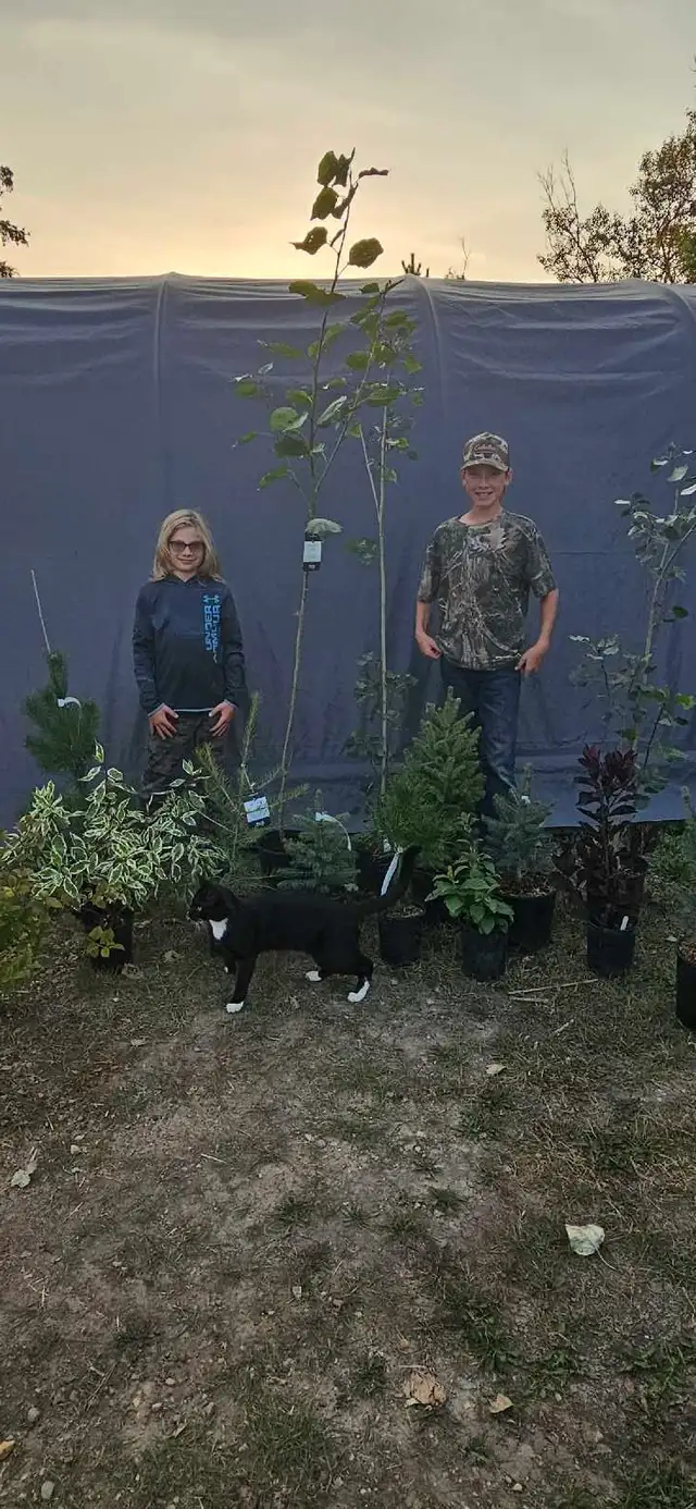 Trees for Sale - Photo 4