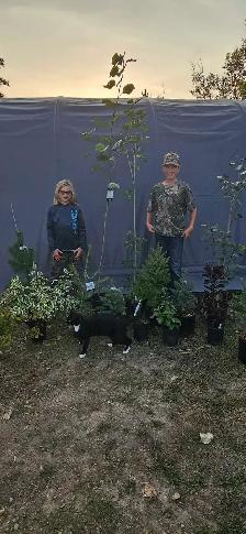 Trees for Sale - Photo 4