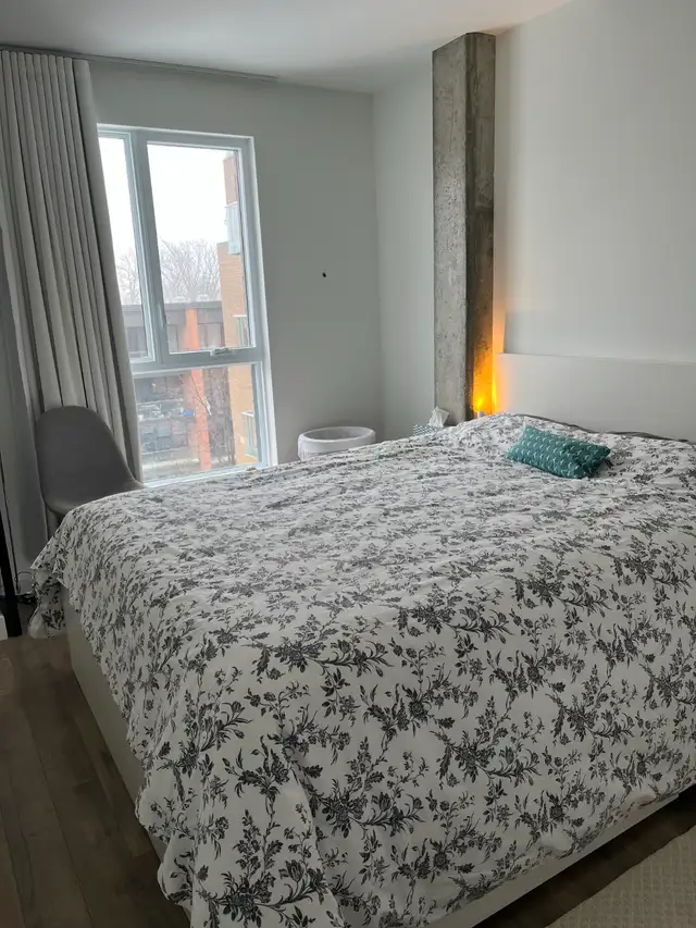 3 1\2 à louer, quartier Montcalm - Photo 4