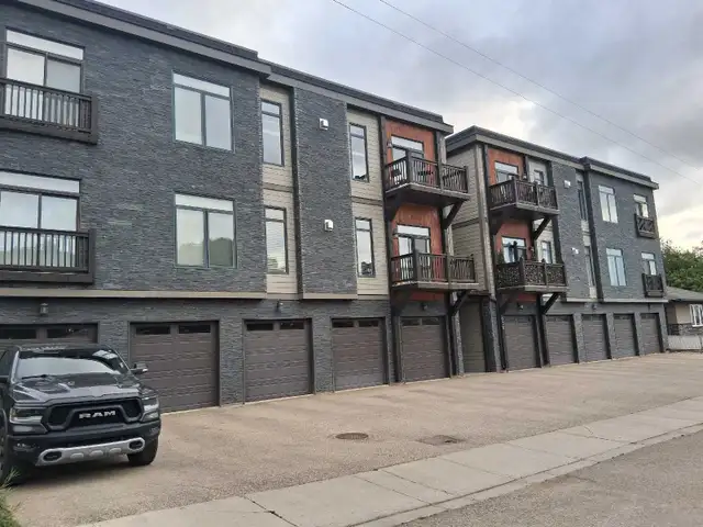 skilled home renovator seeking work