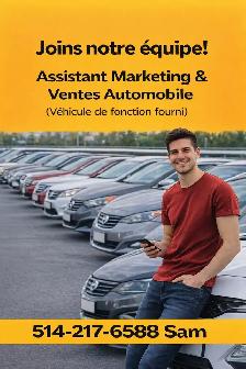 Embauche : Assistant marketing & ventes auto (auto fournie)
