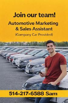Embauche : Assistant marketing & ventes auto (auto fournie) - Photo 2