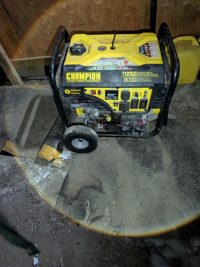 Local Small Engine Repair - Mobile Service (Oshawa/Whitby)