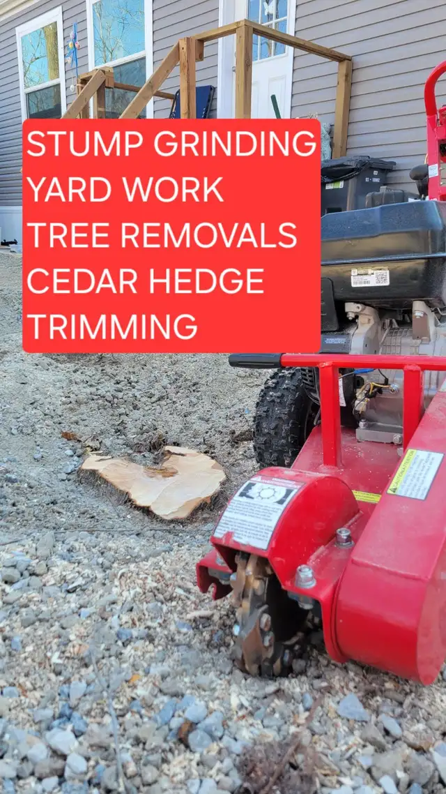 Stump Grinding and tree removal