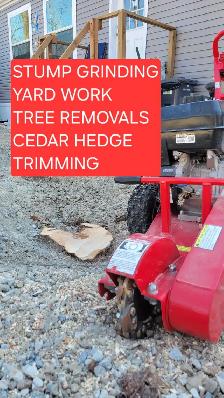 Stump Grinding and tree removal