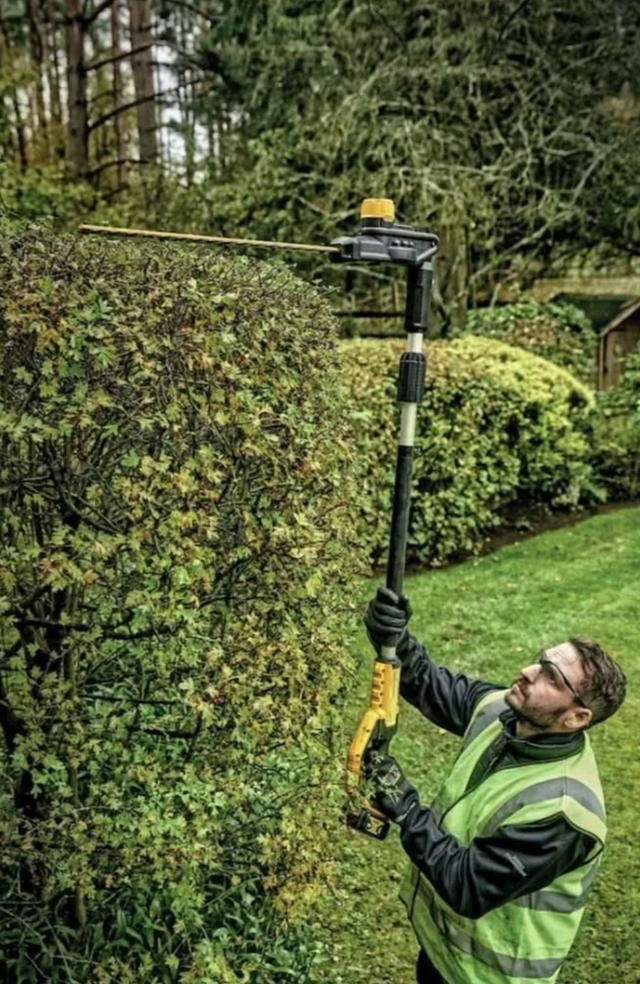Stump Grinding and tree removal - Photo 7