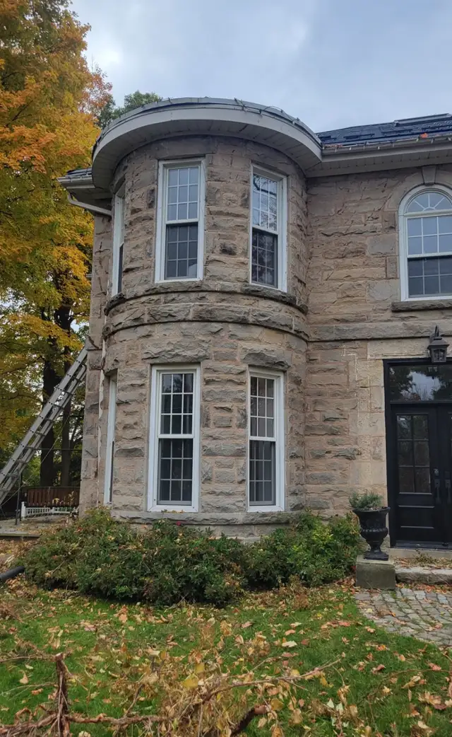 Stump Grinding and tree removal - Photo 9