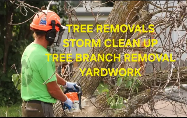Tree pruning, trimming, removals and stump grinding