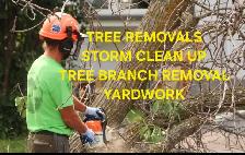 Tree pruning, trimming, removals and stump grinding