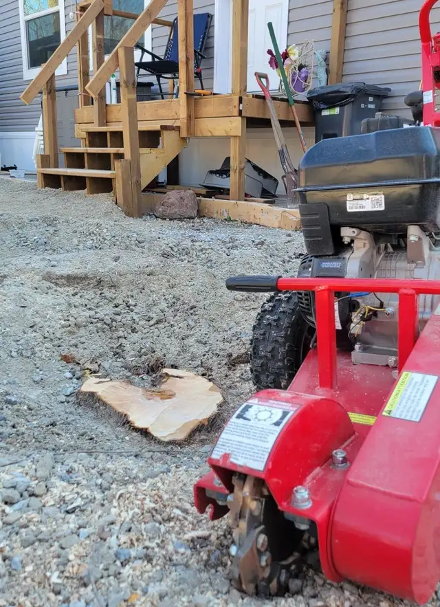 Tree pruning, trimming, removals and stump grinding - Photo 5