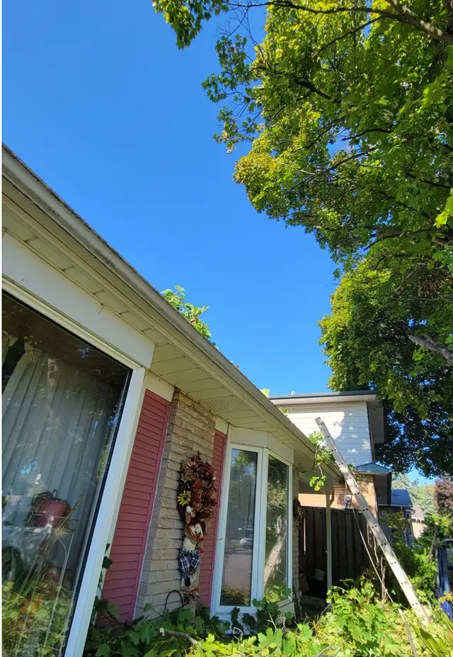 Tree pruning, trimming, removals and stump grinding - Photo 7