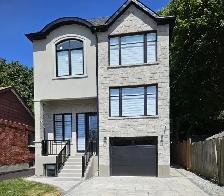 Beautiful NEW 3 Bedroom 2 Washroom Lower Unit FOR RENT-TTC Close