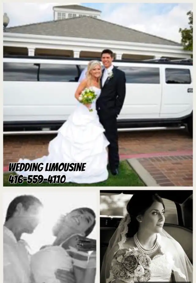 BRAMPTON LIMO RENTALS-MISSISSAUGA OAKVILLE TORONTO LIMOUSINES - Photo 7