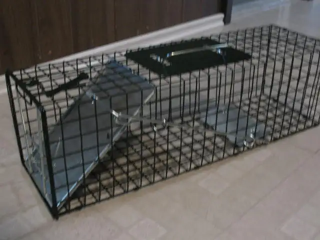 Small Live Animal Cage Trap, BRAND NEW - Photo 2