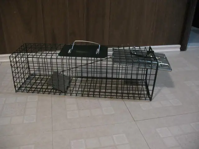 Small Live Animal Cage Trap, BRAND NEW - Photo 10